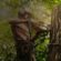 tree surgeon in Swindon