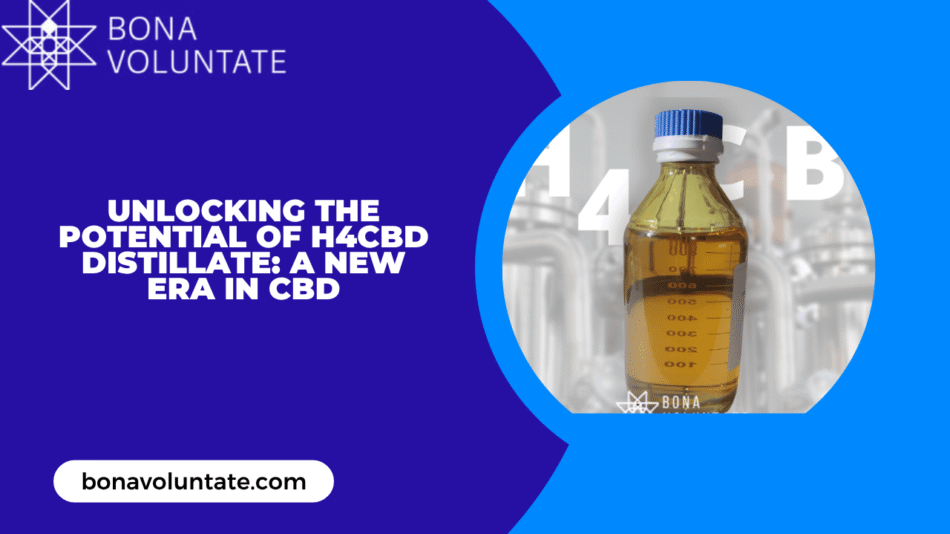 Buy H4CBD Distillate
