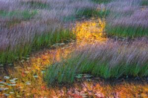A vibrant nature scene resembling watercolor art, ideal for showcasing in Art Galleries Near Me.