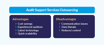 audit support outsourcing services