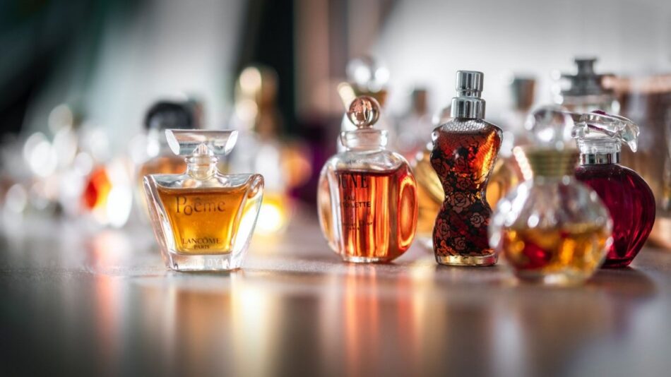 Best Perfumes for Women