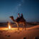 Evening Desert Safari