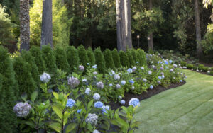 Mass Plantings: Landscape Design