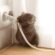 Rodent Removal Tips for Homeowners This Summer