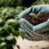 biological fertilizer