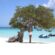 Aruba photoshoot packages