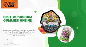 Best Mushroom Gummies Online
