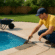 swimming pool installer