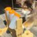 Cheap Dog puzzle Toys