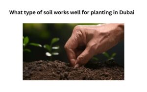 soil