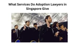 lawyer