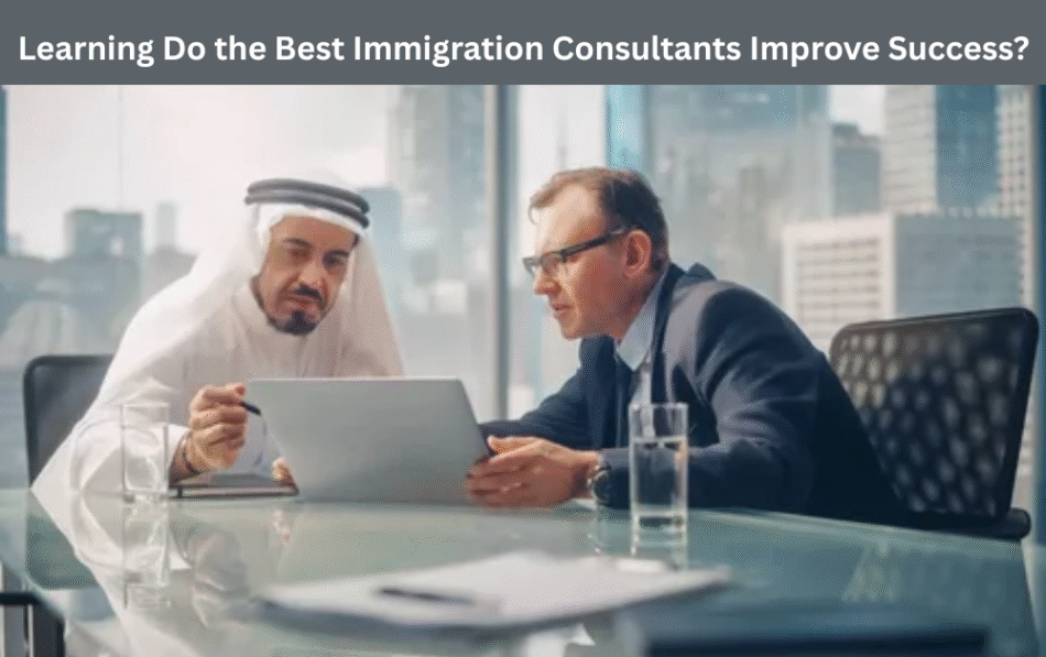 Learning Do the Best Immigration Consultants Improve Success?