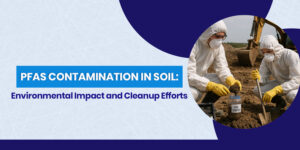 PFAS Contamination in Soil: Environmental Impact and Cleanupย Efforts
