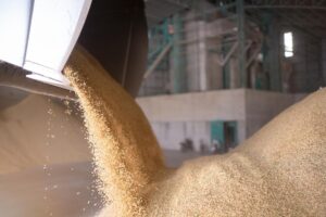 Rice Husk and Wheat Straw Based Bio Ethanol Manufacturing Plant