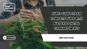 runtz cake strain