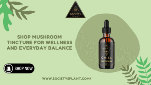 Mushroom Tincture for Wellness