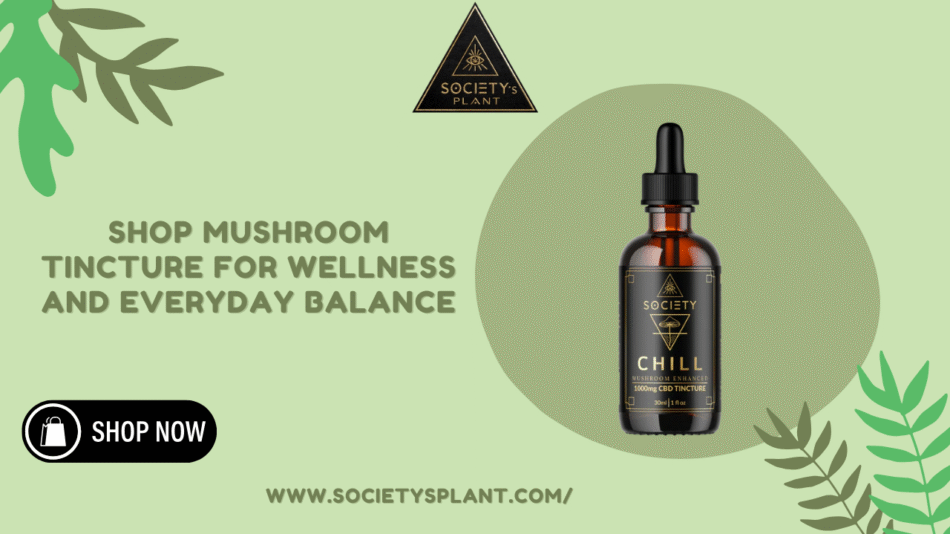 Mushroom Tincture for Wellness