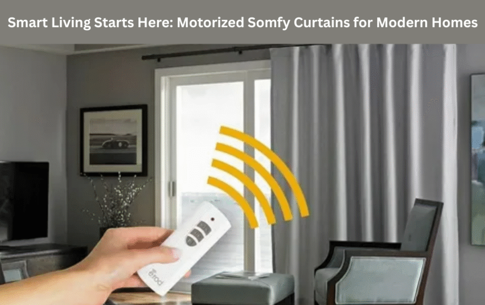 Smart Living Starts Here: Motorized Somfy Curtains for Modern Homes