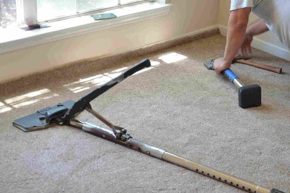 Sol Carpet repair Service