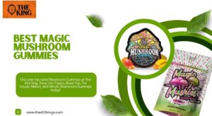 Best Magic Mushroom Gummies