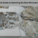 The Ultimate Guide to Selecting the Best Minerals Supplier