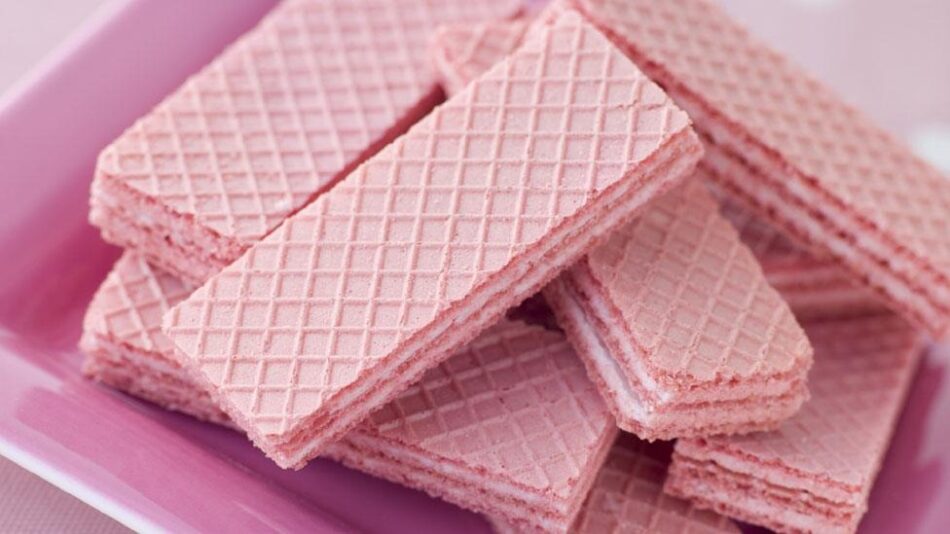 Wafer Biscuit Manufacturing Plant