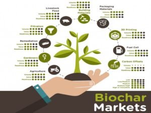 Global Biochar Market 