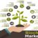 Global Biochar Market 