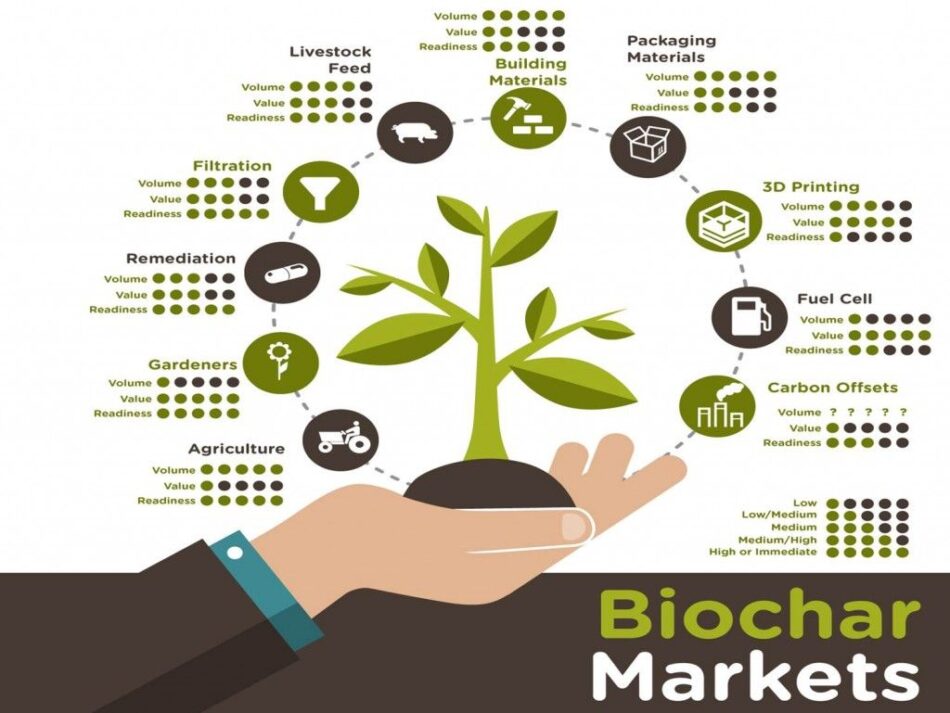 Global Biochar Market 