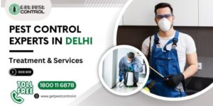 pest-control-in-delhi