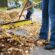Clean Up Your Leaves