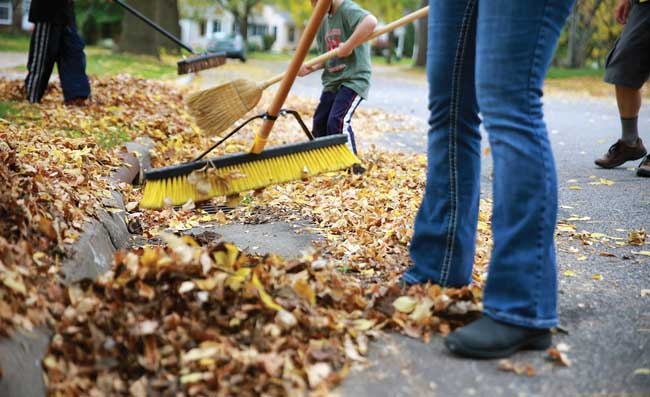 Clean Up Your Leaves