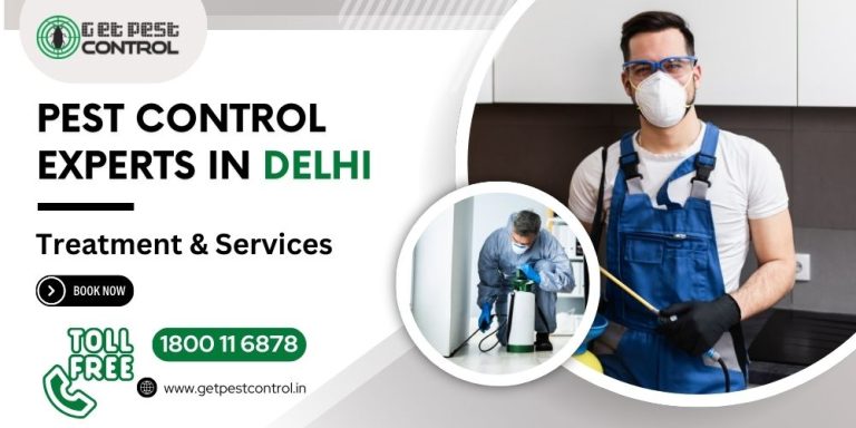 pest control in delhi