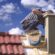Chimney Inspection Portland