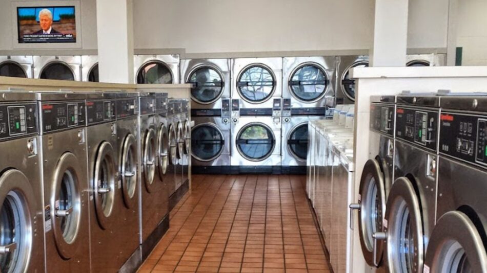 the laundry company_