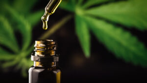 Buy CBD Products online in Pinellas Park