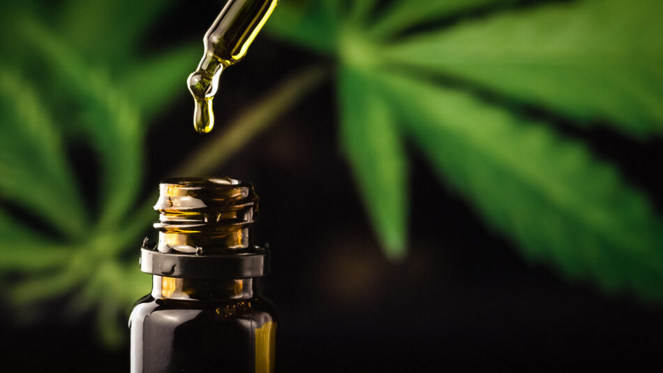 Buy CBD Products online in Pinellas Park