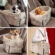 dog carrying purse
