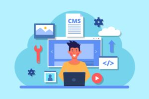 hire wordpress developer