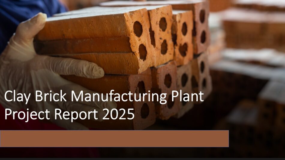 Clay Brick Manufacturing Plant