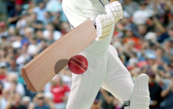 Cricket