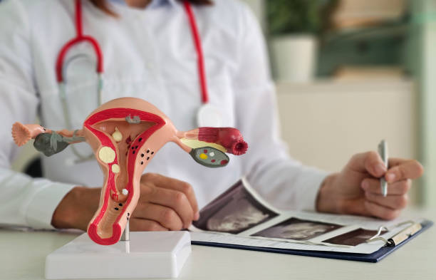 How to Find the Best Aesthetic Gynaecologist for You