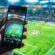 Sportsbook Software Provider