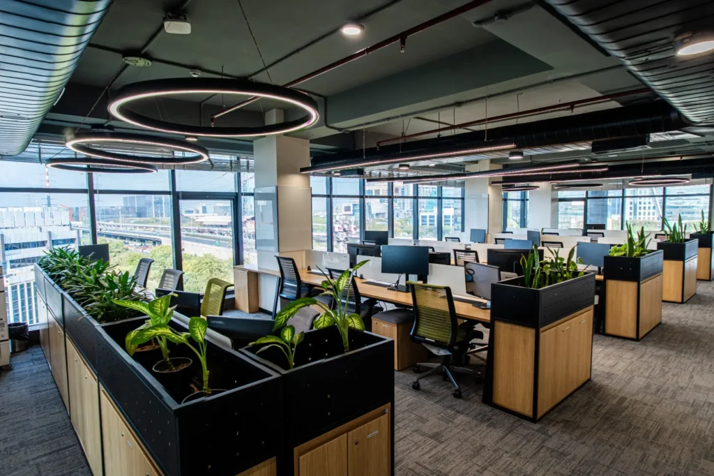 New Zealand Study overseas