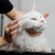 Mobile Cat Grooming