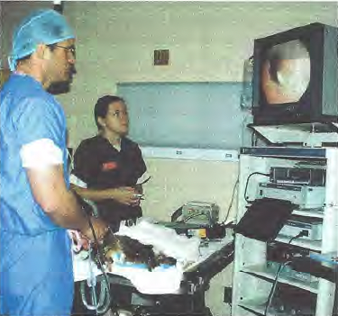 Laparoscopic Scopes