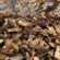 Full cord of wood Wisconsin