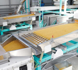 food & beverage operational consulting