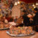 Delicious Indian appetizers served at India Authentic Restaurants in St Asaph Street with vibrant dining ambiance and happy guests.