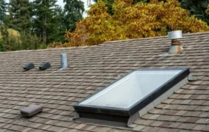 Why Roof Venting Matters for a Healthy Home